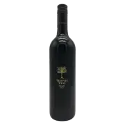 Tempus Two Shiraz 2017 750mL x 1 Bottle