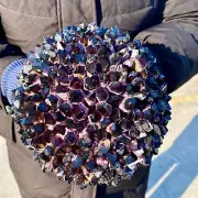 10.7LB Newly Discovered Purple Phantom Quartz Crystal Cluster Mineral