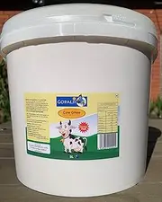Gopalji Cow Ghee 5Ltr (Grass Fed from Australia/New Zealand)