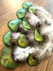 10pcs Natural 6-8cm Green Peacock Plumage Real Genuine Feathers DIY Art Craft