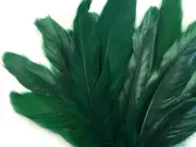 USA SELLER | 1 Pack - Hunter Green Goose Satinettes loose feathers 0.3 oz. Craft