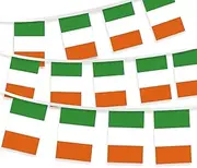 32FT Small Ireland Pennant Flag Bunting,30 PCS Mini String Banner Strip Irish people National Decor Rectangle for Holiday Restaurant Home Party School