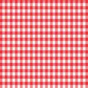 Magic Cover Red/White Checkered Vinyl Disposable Tablecloth 70 in. 52 in.