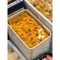 在飛比找蝦皮購物優惠-【大和水產】 日本空運海膽 小川130公克 馬糞海膽 時價商