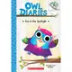 Owl Diaries #13 Eva in the Spotlight/ Rebecca Elliott 文鶴書店 Crane Publishing