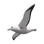 Eugy Royal Albatross 3D Cardboard Model Kit NEW IN STOCK