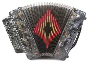 Rossetti 3112 GCF Sol 31 Button Diatonic Accordion - Grey with Strap and Case