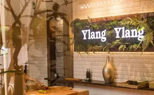 會安 Ylang Ylang Spa 去角質＆全身裹敷按摩體驗