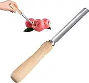 Zasdvn Pear Corer,Multi-Function Stainless Pitter - Multifunctional Manual Fruit Corer with Anti-Slip Wood Handle for Quick Cooking Salad Prep Juicing Canning