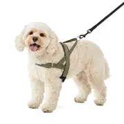 Dog Fast Clip Harness - Medium