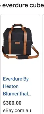 ALL GONE!!/SOLD!! lNEW Everdure Heston HBCUBEBAG Carrier bag for Cube $300 NEW