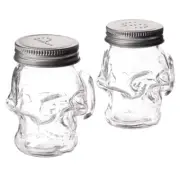 Circleware 66746 Skull Glass Mini Mug Salt and Pepper Shakers with Handles & Met