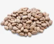 MORELS Pinto Beans High Protein, & Iron, Cholesterol Free, 10Pack / 10Lb
