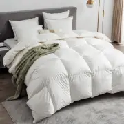 Feathers & Down Comforter, Organic Duvet Insert, 100% Cotton Shell, Ethically
