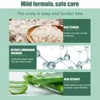 Leave-in Treatment Spray Strong Oil Spray Control Dry Hair Powder Spray Hair Dry