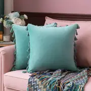 Pack of 2 Velvet Soft Solid Decorative Throw Pillows with Tassels Fringe Boho Accent Cushion for Couch Sofa Bed, Aqua Green