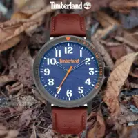 在飛比找momo購物網優惠-【Timberland】天柏嵐 都會時尚大三針手錶-44mm