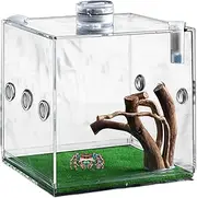 Clear Reptile Cage - Jumping Spider Growth Enclosure | Lightweight Animal Breeding Box, Jumping Spider Habitat Box, Small Animal Breeding Cage for Turtles, Beetles, Snails, and Lizards
