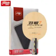 DHS PG-7 Ping Pong Table Tennis Blade Racket 7-Ply All-Wood Blade FL Beginner