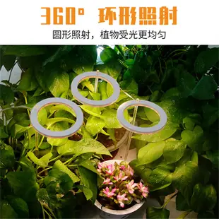 單天使環 LED 生長燈 DC5V USB Phytolamp 全光譜植物燈 植物燈 天使環植物生長燈 多肉植物補光燈