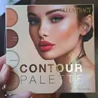 New Ellen Tracy Contour Palette Highlight Contour Illuminate Light & Dark