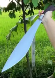 "Handmade Nessmuk Thai-Machete Camping Knife - Bearing Steel Blade, Rosewood Han