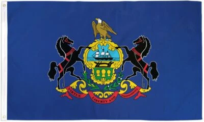 10 x "PENNSYLVANIA" flag 3x5 ft polyester banner sign state PA