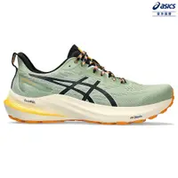 在飛比找PChome24h購物優惠-ASICS 亞瑟士 GT-2000 12 TR 男款 NAT