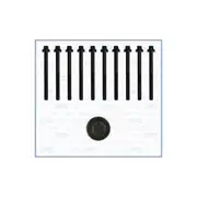 Austral Cylinder Head Bolt Set - 81032900