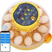 Wiwaottknug 16 Egg Automatic Incubator with Humidity Display, Candler & Turner,