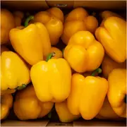 Capsicum - Golden California Wonder seeds