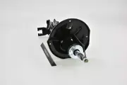 Shock Absorber Rear Right For HYUNDAI ACCENT 00 (INDIA PLANT-GEX),PLANT-INDIA),P (for: Hyundai)