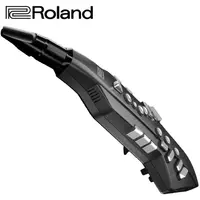 在飛比找PChome24h購物優惠-ROLAND Aerophone GO AE-05 數位薩克