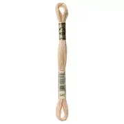 DMC 6-Strand Embroidery Cotton 8.7yd Tawny