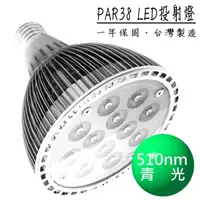 在飛比找PChome商店街優惠-【台灣製】PAR38 LED燈泡(青光Cyan;500-51