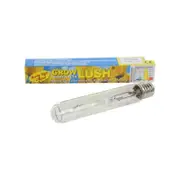 GL MH 400W Retro Lamp Bulb - 3700K - Grow Light Replacement Globe