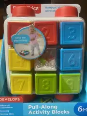 Fisher Price Pull Along Activity Blocks Brand NEW Kids Infant