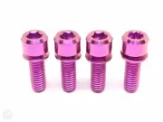 USA Titanium Space Purple Brake Caliper Bolts M6x18 For Hope Shimano Sram Hayes