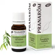 Pranarôm Essential Oils Eucalyptus Radiata Essential Oil 10ml