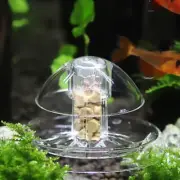 Snails Trap & Bait for Planted tanks SAFE FOR FISH AND PLANTS SUPER PRICE !!!!!