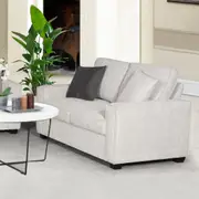 2 Seater Sofa Set Polyester Fabric Multilayer Two Pillows Individual Pocket Spring