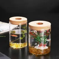 在飛比找蝦皮購物優惠-DELMER水培植物花盆,圓形加厚透明玻璃盆,微景觀生態瓶迷