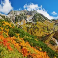 在飛比找momo購物網優惠-【喜鴻假期】【楓起雲湧北陸５日】楓紅立山黑部、上高地、合掌村