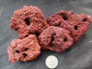 Aquarium Lava Rock Cherry Shrimp Holey Stone Caves Tunnels Neocaridina Amano