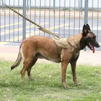 在飛比找樂天市場購物網優惠-狗牽繩 伸縮牽繩 伸縮拉繩 寵物牽繩 戰術狗狗胸背帶馬犬訓練