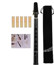 Pocket Saxophone | 8-Hole C Key Saxophone | Woodwind Instrument for Beginner Kids Amateurs Music Lovers, Compact Practice Tool with Reeds and Carrying Bag