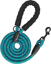 PoyPet Dog Leash 5 Feet for Small Medium and Large Dogs Reflective Heavy Duty Padded Rubber Handle 360° No Tangles（Tumalo Teal）