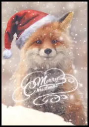 Greeting Card - Fox - Stefan Meyers - Christmas - 0152