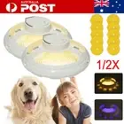 Electric UV Fleas Fly Insect Killer Bug Zapper Trap Catcher Lamp Indoor Light AU