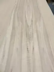 Maple Spalted Wormy wood veneer 19" x 60" x 1/40" with paper backer AA grade